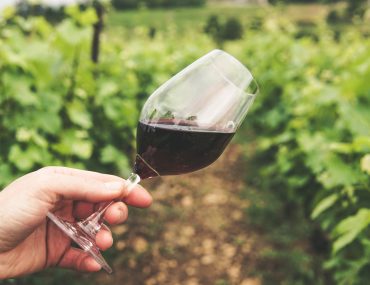 Winery Tours
